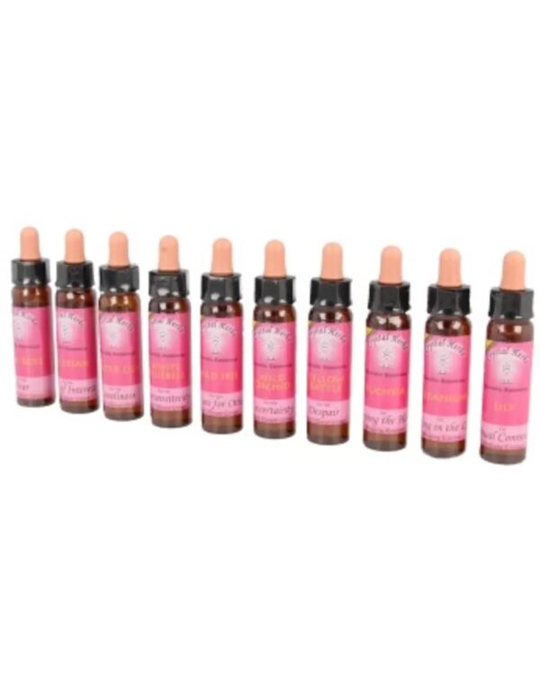 10 ml Set Karmic Essences - Image 2