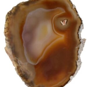 Agaatschijf natuur middel 10-15 cm