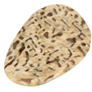 Zebradoriet edelsteen pringle