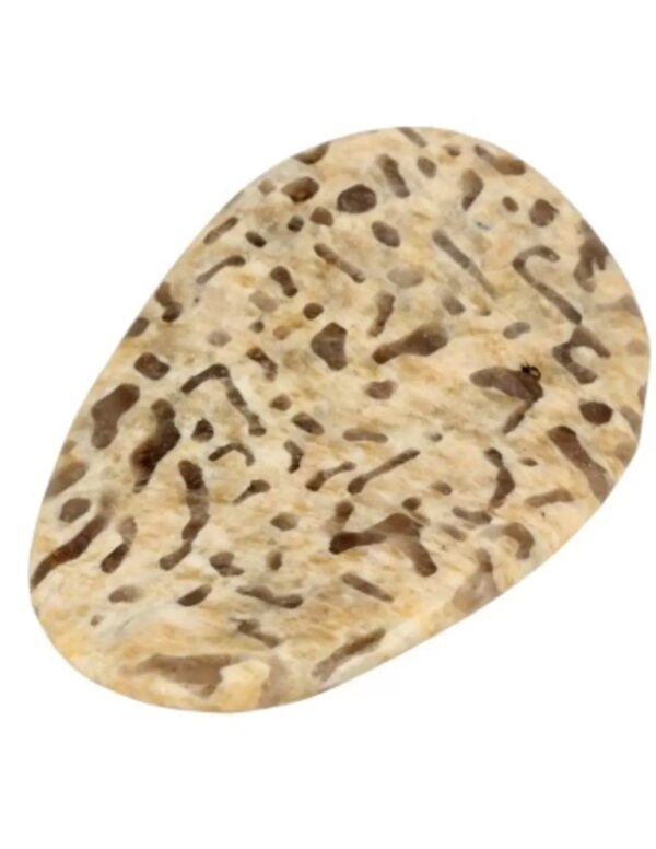 Zebradoriet edelsteen pringle