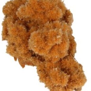 Seleniet oranje gekristalliseerd ruw, p/kg