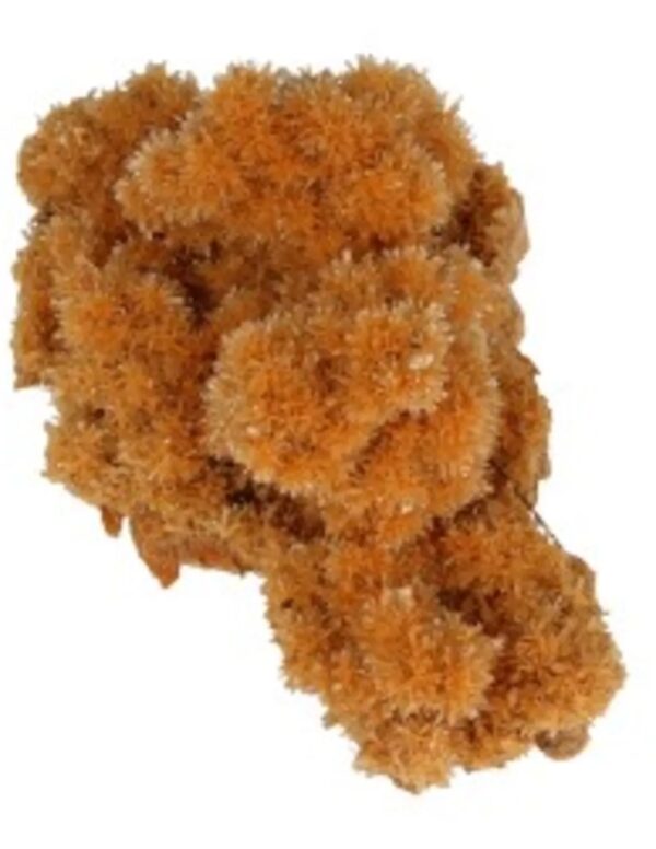 Seleniet oranje gekristalliseerd ruw, p/kg