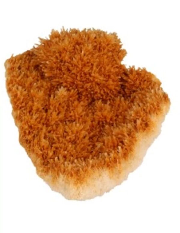 Seleniet oranje gekristalliseerd ruw, p/kg - Image 2