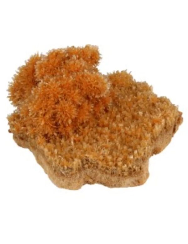Seleniet oranje gekristalliseerd ruw, p/kg - Image 3