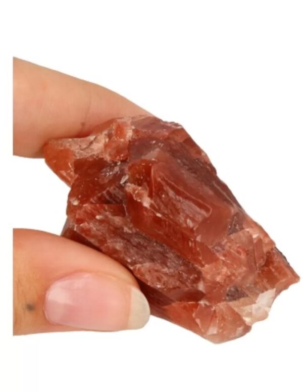 Doosje Calciet rood - Image 2