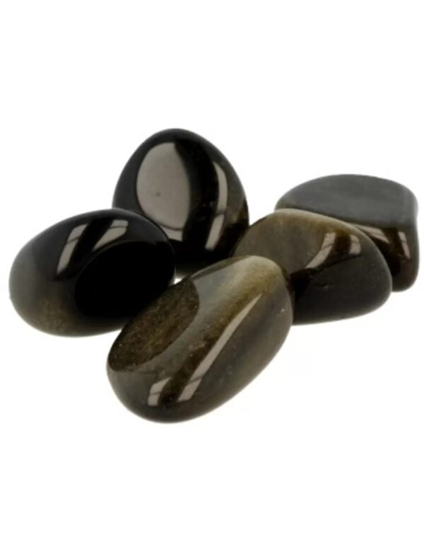 Obsidiaan goud trommelstenen (mt2-3), per gram