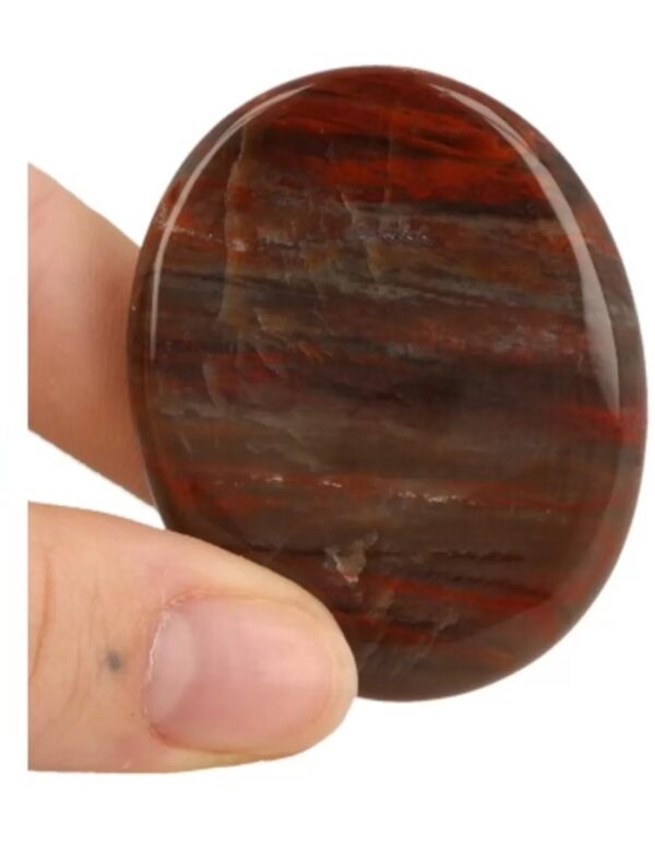 Versteend hout zaksteen Madagaskar - Image 2