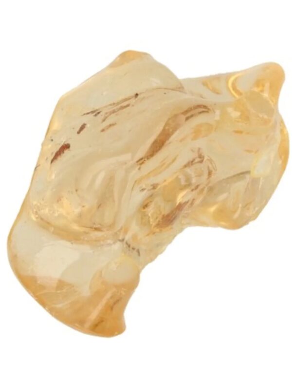 Copal gepolijst 8-10 gram