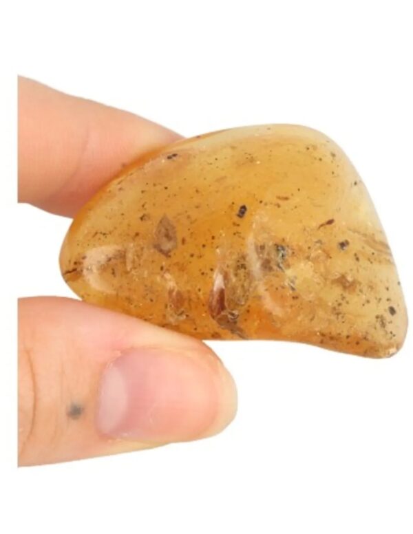 Copal gepolijst 8-10 gram - Image 3