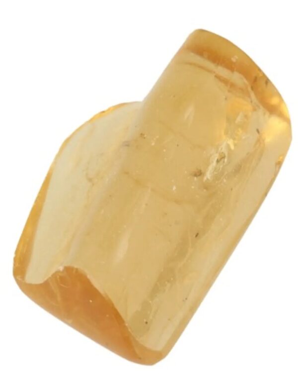 Copal gepolijst 8-10 gram - Image 5