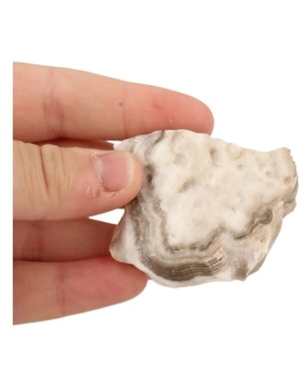 Calciet zebra ruw, p/kg - Image 3