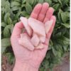 Roze kwarts decostenen ruw 5 kilo emmer - Image 2
