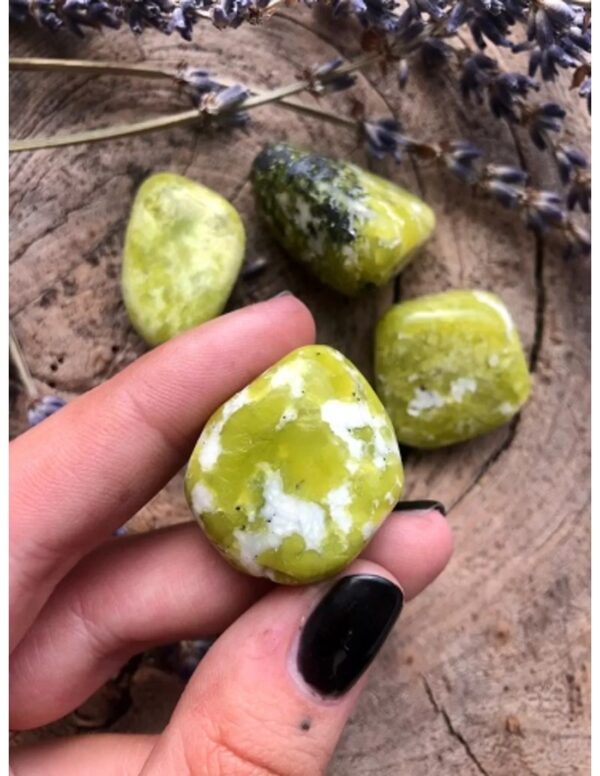 Lizardiet 50 gr. trommelstenen (Noorse Jade) (mt3) - Image 2
