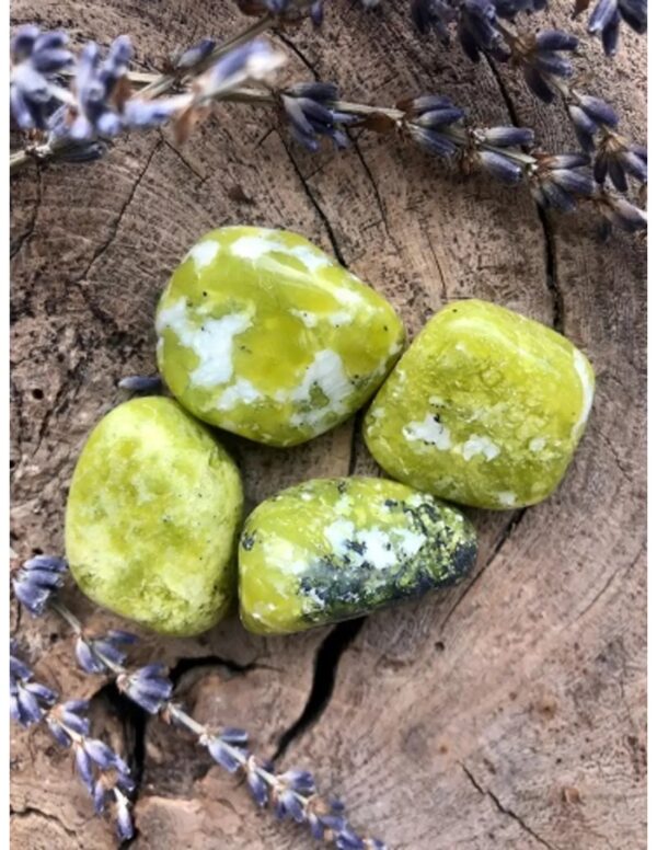 Lizardiet 50 gr. trommelstenen (Noorse Jade) (mt3) - Image 4