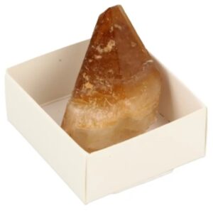 Doosje Calciet honing punt