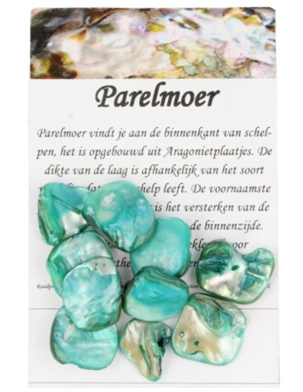Kralen Parelmoer groen - 10 st. (bijgekleurd) - Image 5