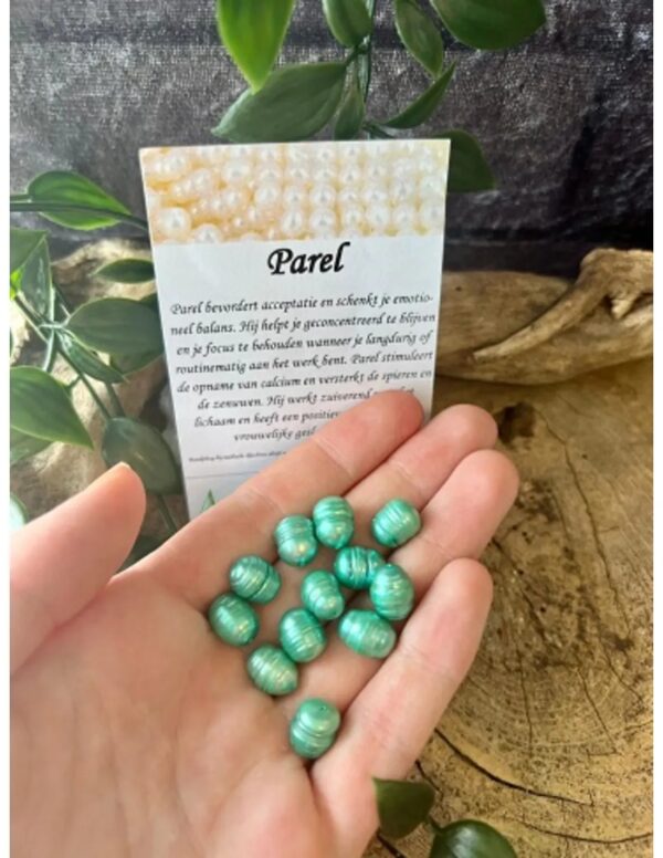 Kralen Parel 10 mm groen - 12 st. (bijgekleurd) - Image 4