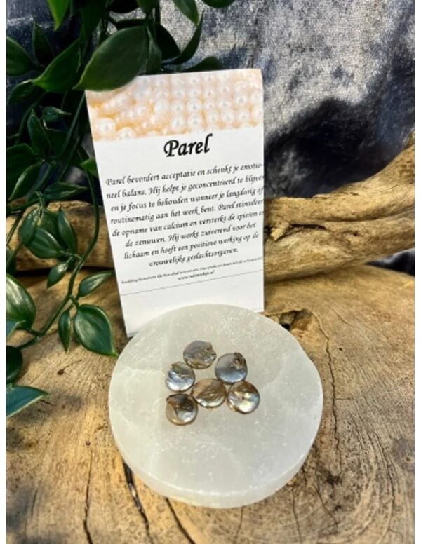 Parel disc bruin kralen - 6 st. (bijgekleurd) - Image 3