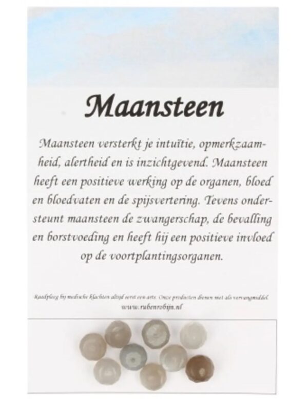 Kralen Maansteen grijs facet 7 mm - 9 st. - Image 5