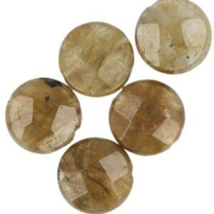Labradoriet disc facet kralen - 5 st.