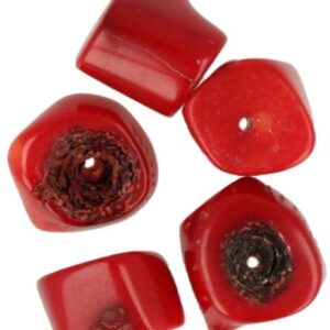 Kralen Koraal bamboe 12 mm - 5 st. (imitatie)