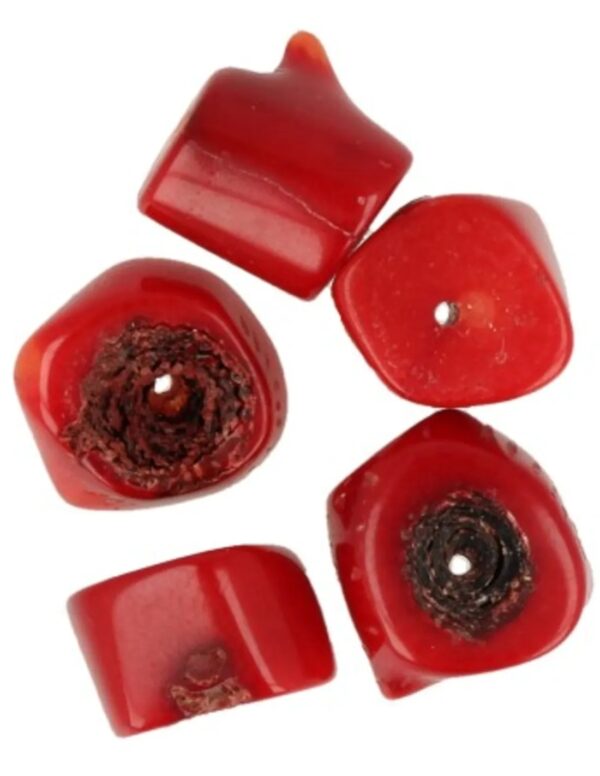Kralen Koraal bamboe 12 mm - 5 st. (imitatie)