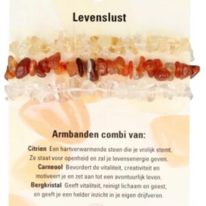 Splitarmband combi Levenslust