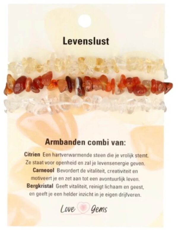 Splitarmband combi Levenslust