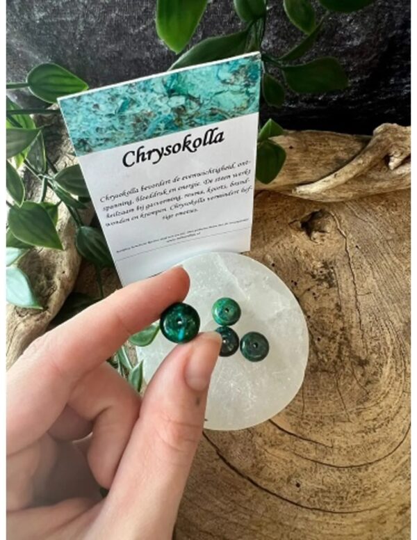 Kralen Chrysokolla disc (bijgekleurd) - 4 st. - Image 4