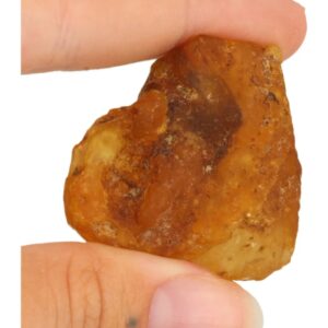 Copal halfruw trommelsteen 1 st. 3-5 cm