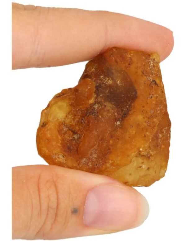 Copal halfruw trommelsteen 1 st. 3-5 cm