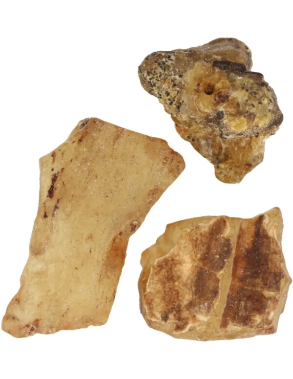 Copal halfruw trommelsteen 1 st. 3-5 cm - Image 5