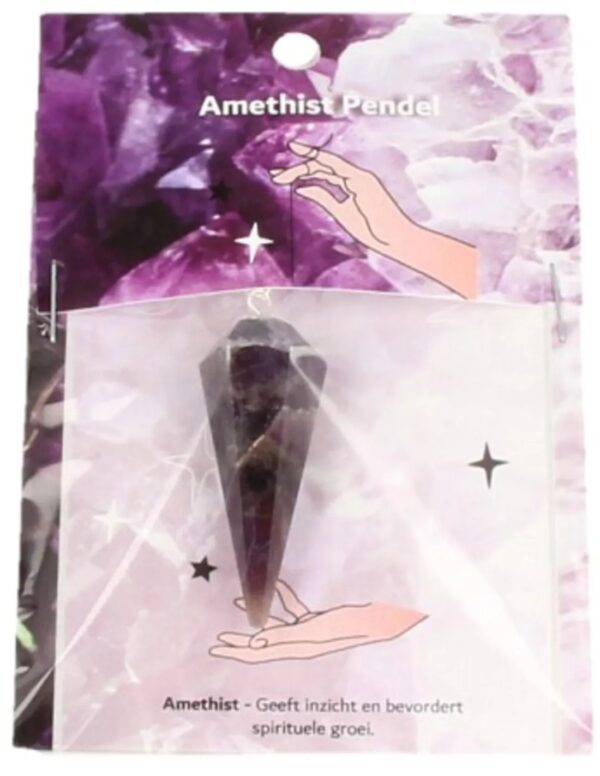 Pendel facet + kaart Amethist