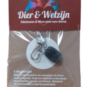 Dier & Welzijn halsband hanger Labradoriet