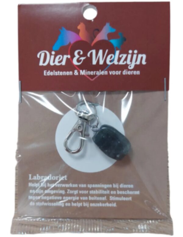 Dier & Welzijn halsband hanger Labradoriet
