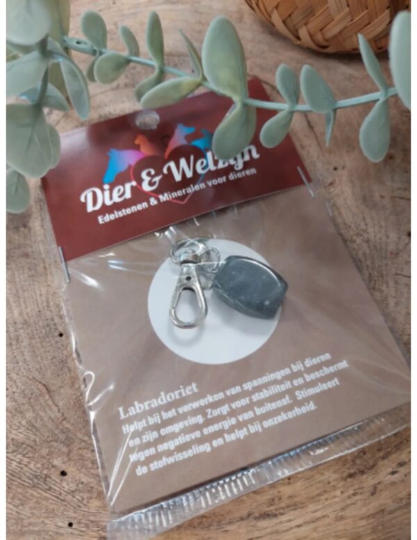 Dier & Welzijn halsband hanger Labradoriet - Image 4