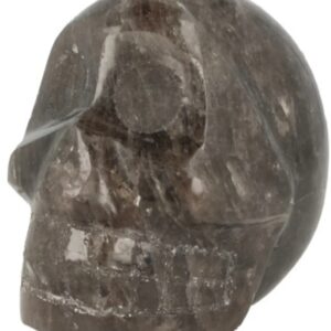 Rookkwarts schedel nr.31