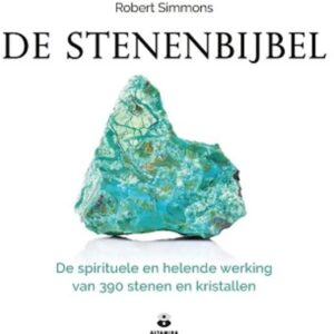 Boek: De Stenenbijbel