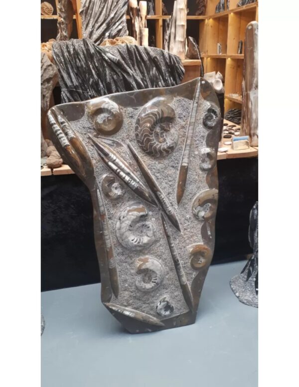 Orthoceras met Ammoniet sculptuur nr.29 - Image 2