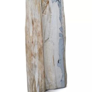 Versteend hout pilaar, Indonesië, nr. 15