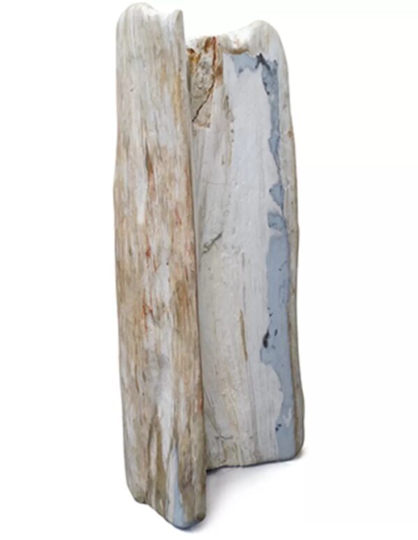 Versteend hout pilaar, Indonesië, nr. 15