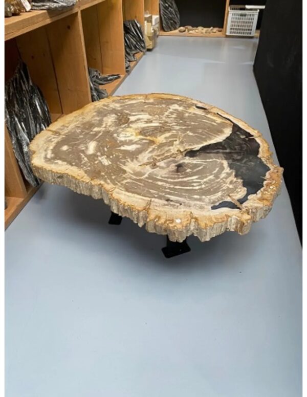 Versteend houten tafelblad nr.1 - Image 2