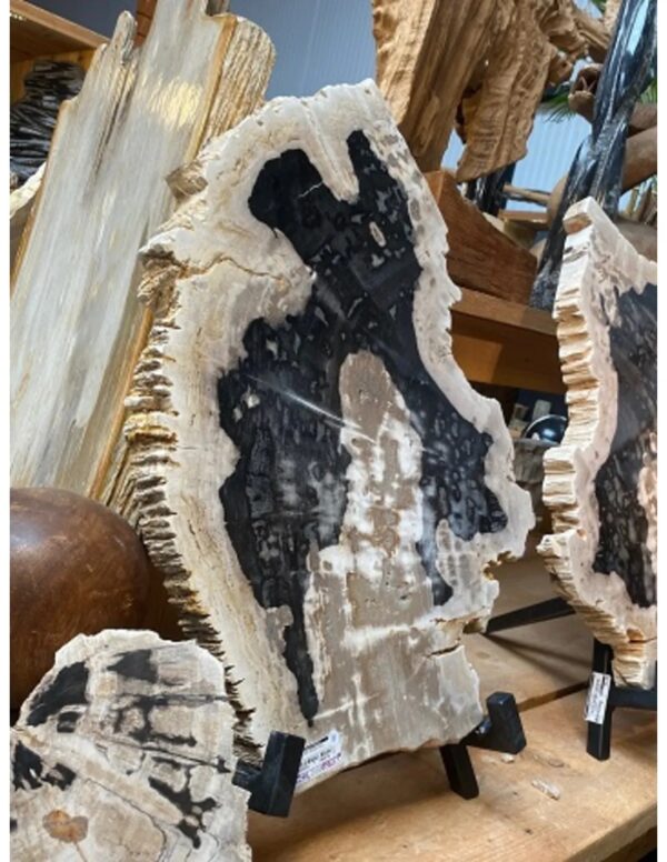 Versteend houten decoratie schijf nr.9 - Image 4