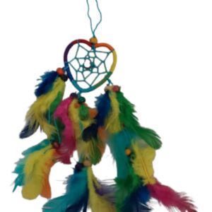 Dromenvanger Rainbow Hartje - 7cm
