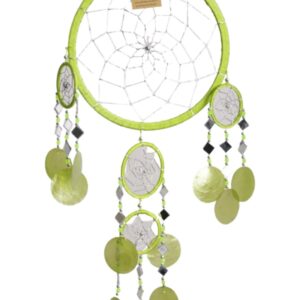 Dromenvanger spiegel-schelp 22 CM - Groen