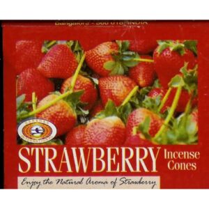 Darshan Strawberry Wierook Kegeltjes