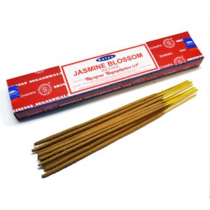 Natural wierook stokjes 10 grams Satya