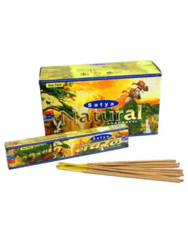 Rain Forest wierook stokjes 15 grams Satya