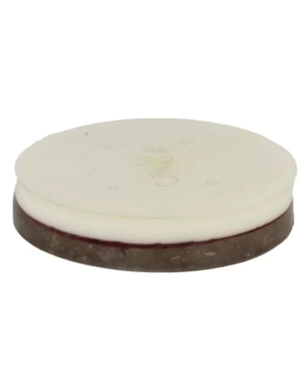 Orgonite lichtschijf hart