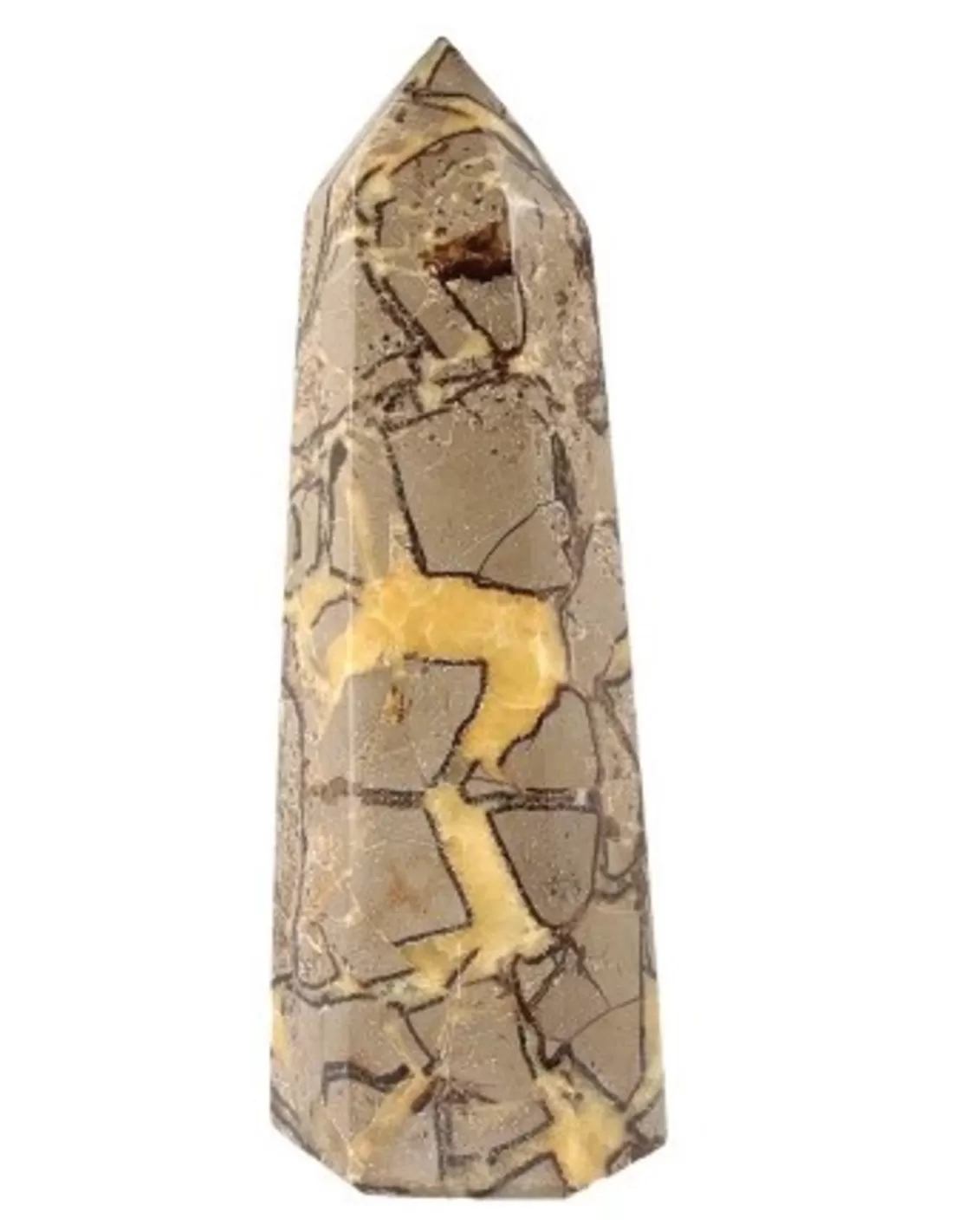 Septarie punt nr.7